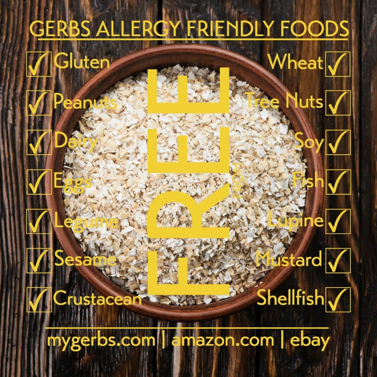 GERBS GERBS Gluten Free Instant Oats, 2 LBS. Premium Grade | Top 14 Food Allergy Free | Freshly harvested in Resealable Bulk Bag | Gluten Peanut Tree Nut Free