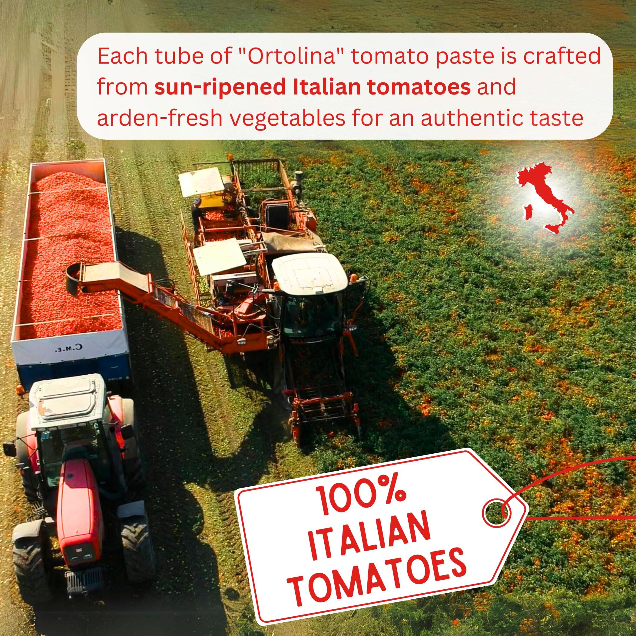 Rodolfi Tomato Paste Tube \"Ortolina\" Rodolfi Sauce, 130 gr (4.5 Oz) - Pack of 2, Authentic Italian Product with Fresh Tomatoes and Vegetables, Imported from Italy, Additive-free