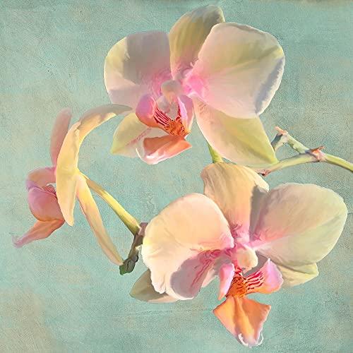 Posterazzi Jewel Orchids I Poster Print - Luca Villa (12 x 12)