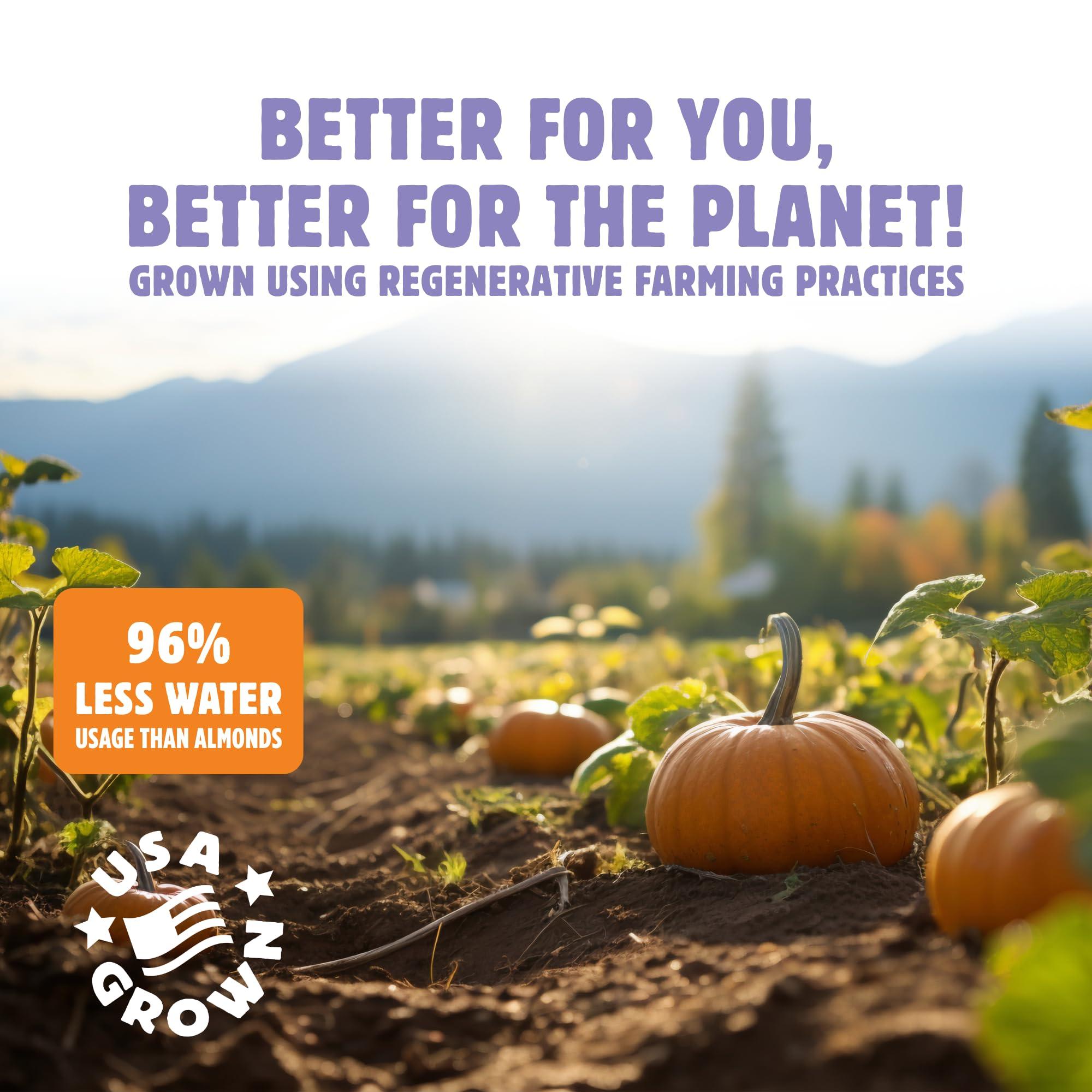 TOP FOX Top Fox Snacks - Organic Pop-Roasted Sunflower Seeds | Healthy Protein Snacks - Gluten Free - Keto and Vegan Friendly (Dark Cacao Sea Salt, 5.5 oz - 6 Pack)