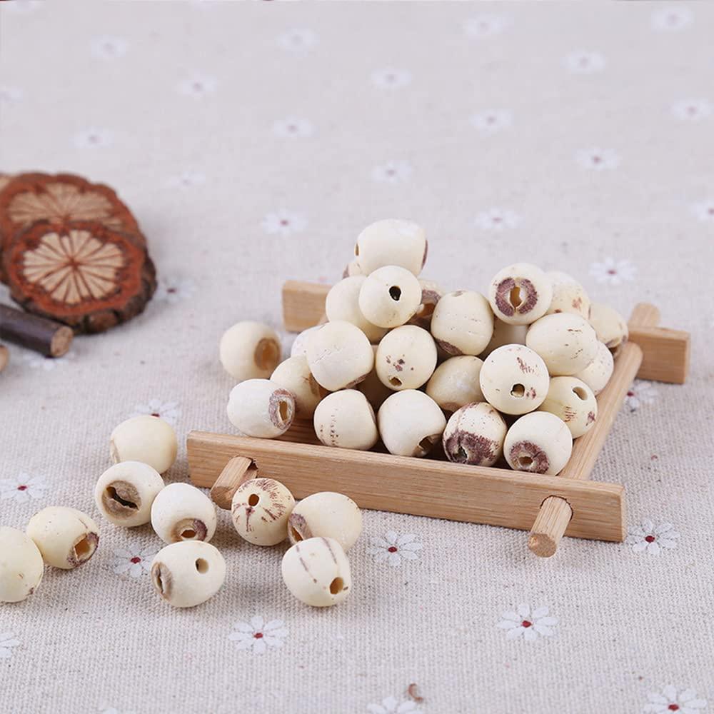 Generic Lotus Seed;Lotus Seed pod;Lotus nut;Lotus Seeds Organic;Lotus Seeds for Cooking;Semen Nelumbinis,Lotus Semen for Health Care Food,Lian Zi for Beauty,Lotus Nut (500 g(1.10 Pound))