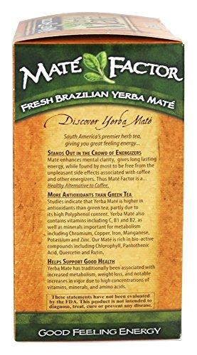 Mate Factor The Mate Factor Herb Tea, Energizing, Organic, Chai, 20 Bag (Pack of 2)