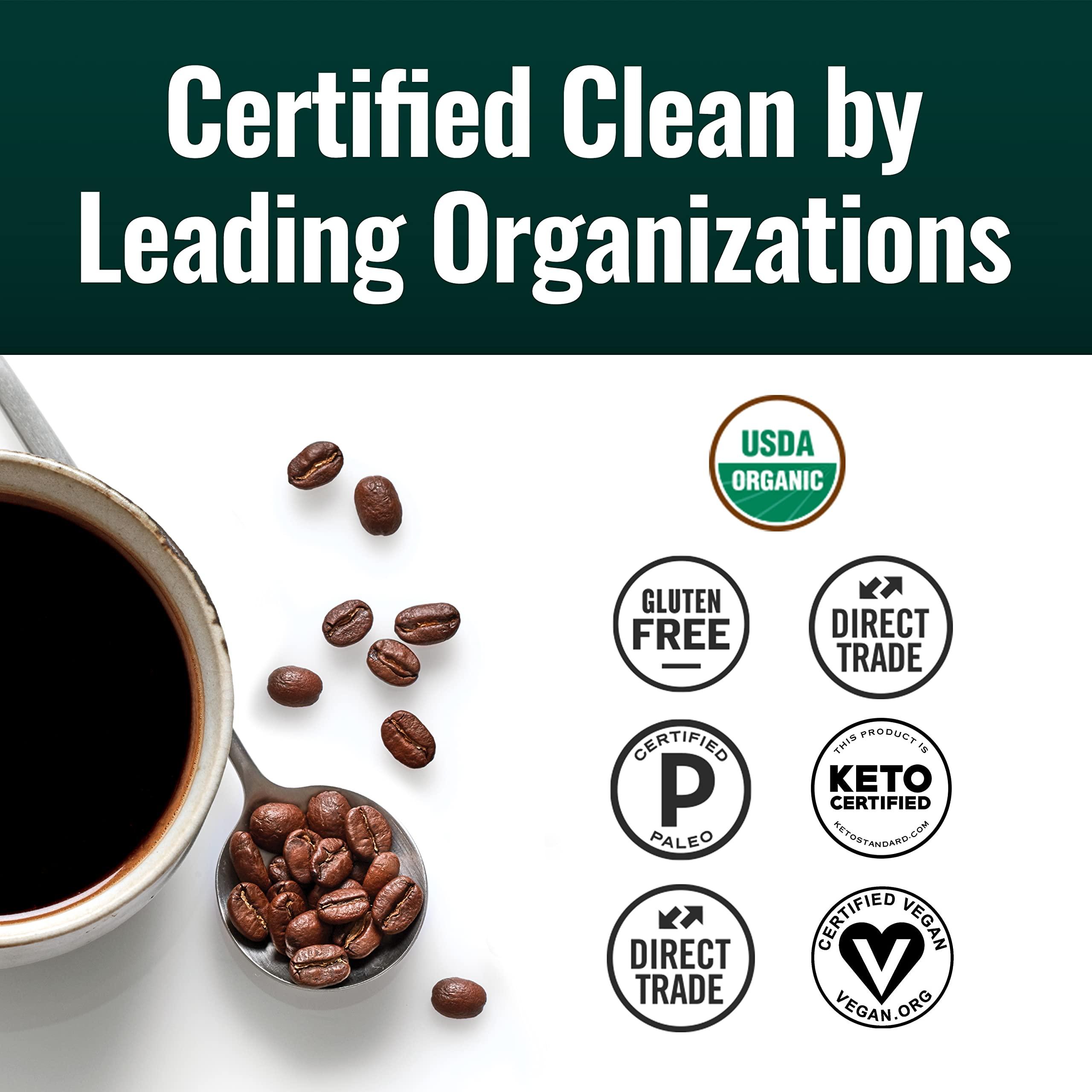 Natural Force Natural Force Clean Coffee Dark + Medium Roast Bundle - Organic, Mold Free, Whole Bean Coffees Tested for Toxins and Powered by Purity – Great Taste + Aroma - 2x 12 Ounce Bags