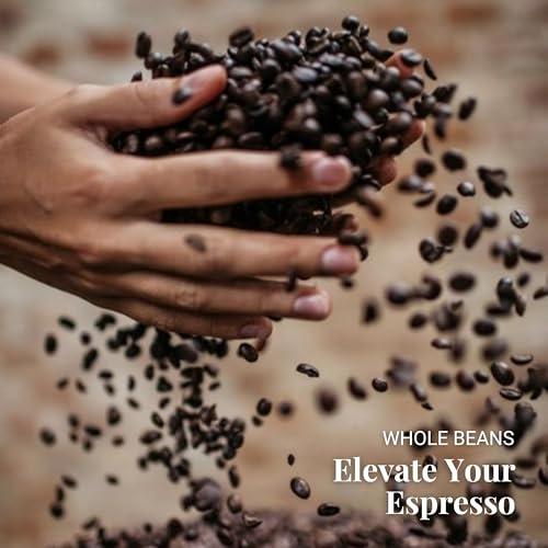 Caffe' Vergnano 1882 Caffe Vergnano 1882 Antica Bottega Whole Bean Arabica Medium Roast Espresso, 1.1 lbs Bag - Italian Coffee Beans with notes of Chocolate, Nuts & Caramel, Intensity 5/10-500g Bag