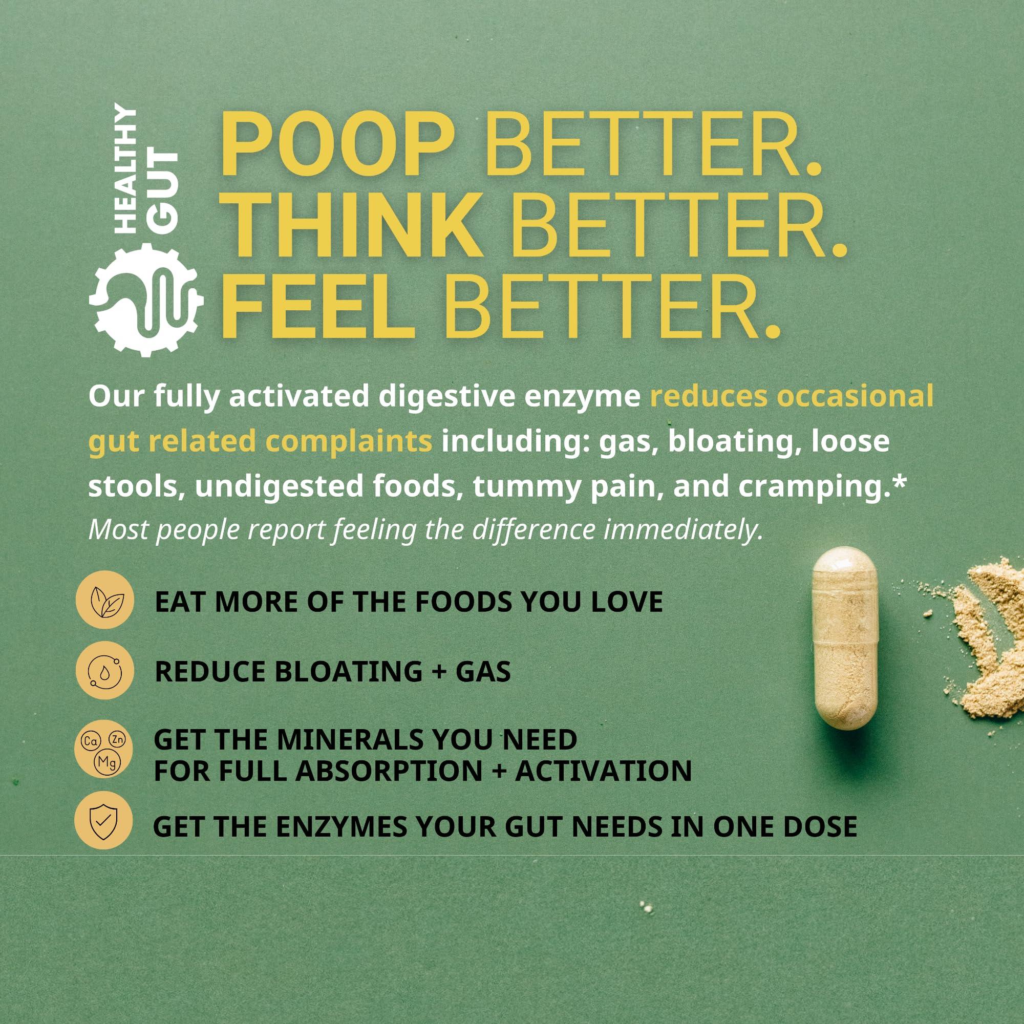 Healthy Gut, LLC Healthy Gut HoloZyme Digestive Enzymes | Enjoy Your Favorite Foods Again | w/Protease, Amylase, Lipase, Lactase, and More | 90 Servings