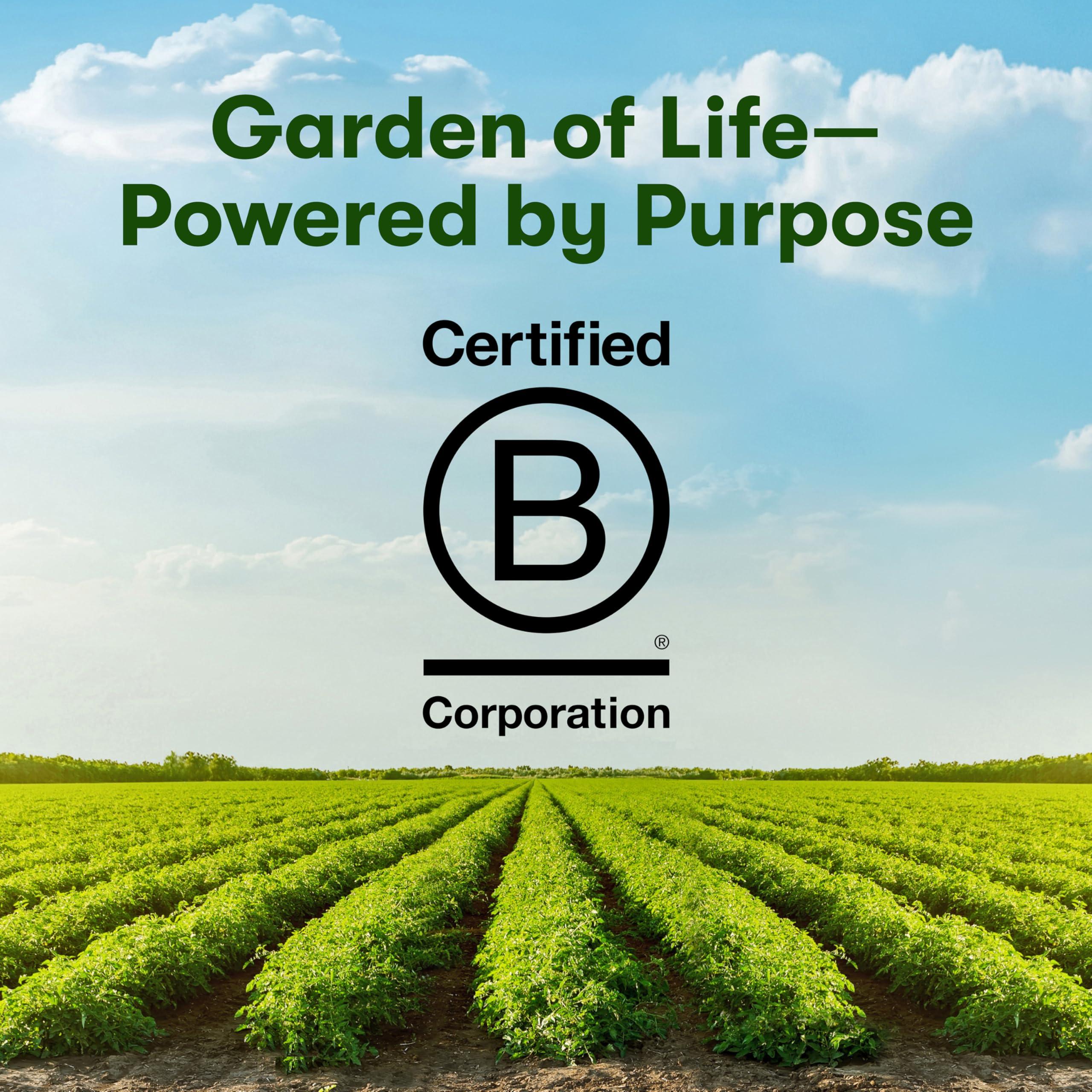 Garden of Life Garden of Life Calcium Supplement - Living Calcium Advanced Formula, D3, K2 and Magnesium for Absorption, 120 Vegetarian Caplets