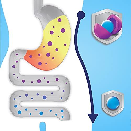 Digestive Advantage Digestive Advantage Probiotic Gummies for Digestive Health, Daily Probiotics for Women & Men, Support for Occasional Bloating, Minor Abdominal Discomfort & Gut Health, 2x90ct Bottles Superfruit