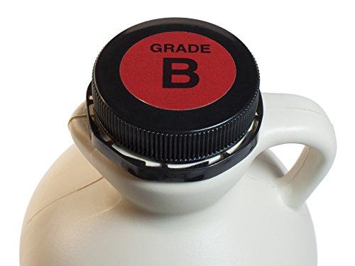 HIDDEN SPRINGS MAPLE Hidden Springs Maple Organic Vermont Maple Syrup, Grade A Dark Robust (Formerly Grade B), 32 Ounce, 1 Quart, Family Farms, BPA-free Jug