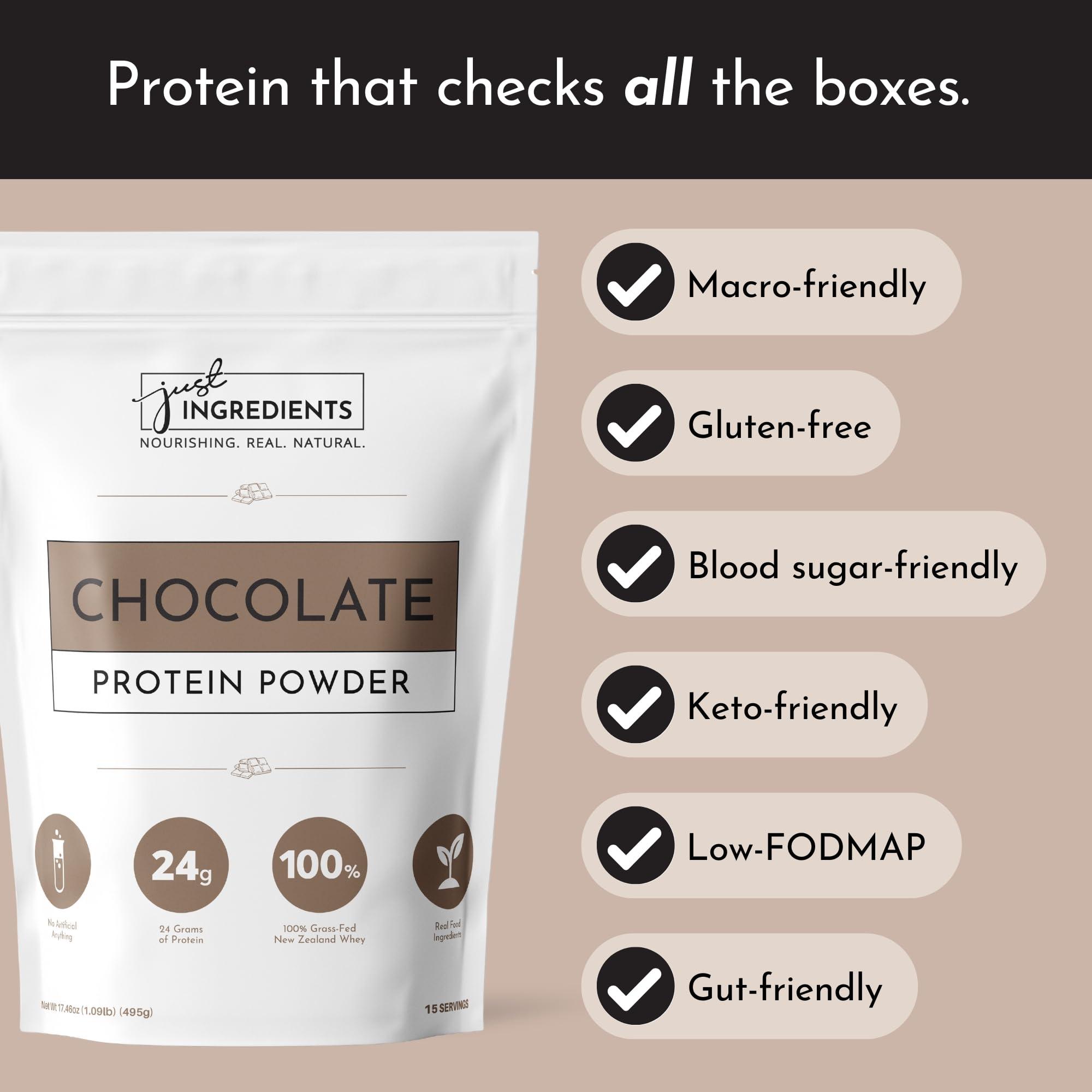 JUST INGREDIENTS JUST INGREDIENTS Chocolate Protein Powder | 15 Servings | 100% Grass-Fed Whey | Non-GMO, Gluten-Free, No Artificial Flavors