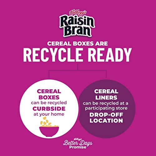 Raisin Bran Kellogg's Raisin Bran, Breakfast Cereal, Original, 1.52oz (70 Count)