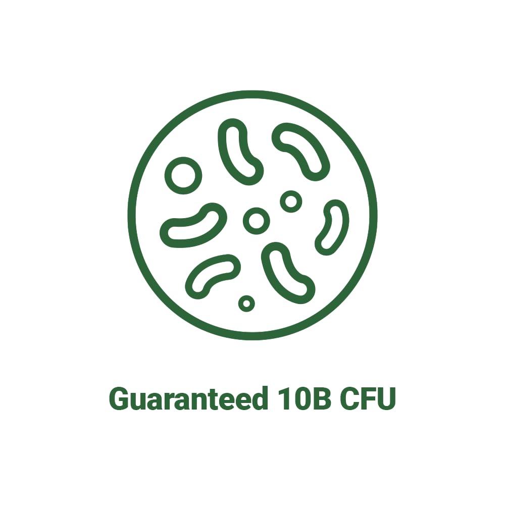 AceBiome AceBiome BNRThin S30, Lactobacillus Gasseri BNR17, 10 Billion CFU Guaranteed, 30Capsules