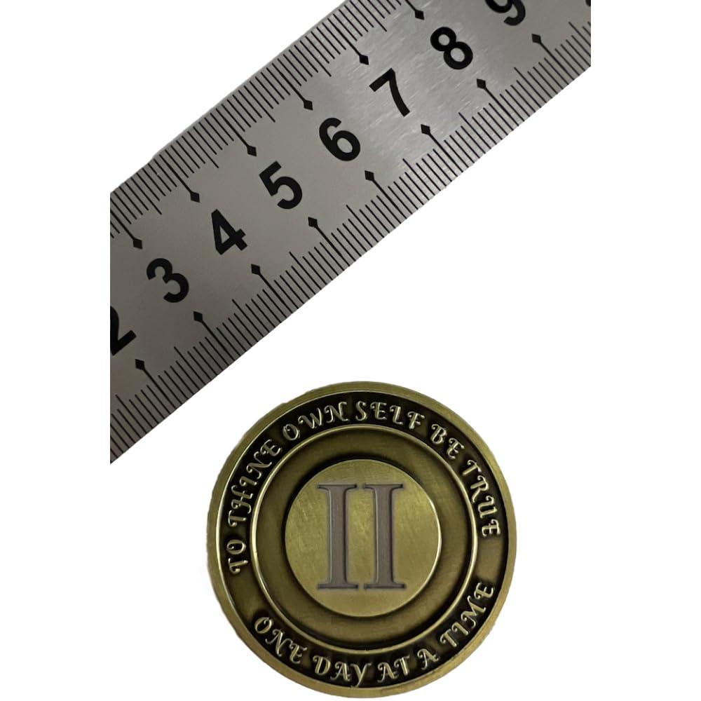 MYRECOVERYSTORE No Matter What Club AA Recovery Medallion with Gift Box in 1 to 60 Years with Custom Engraving (52 Years)