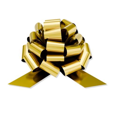 CLEAN CAUSE. Clean Cause Organic Yerba Mate, Raspberry 16 oz (Pack of 12)