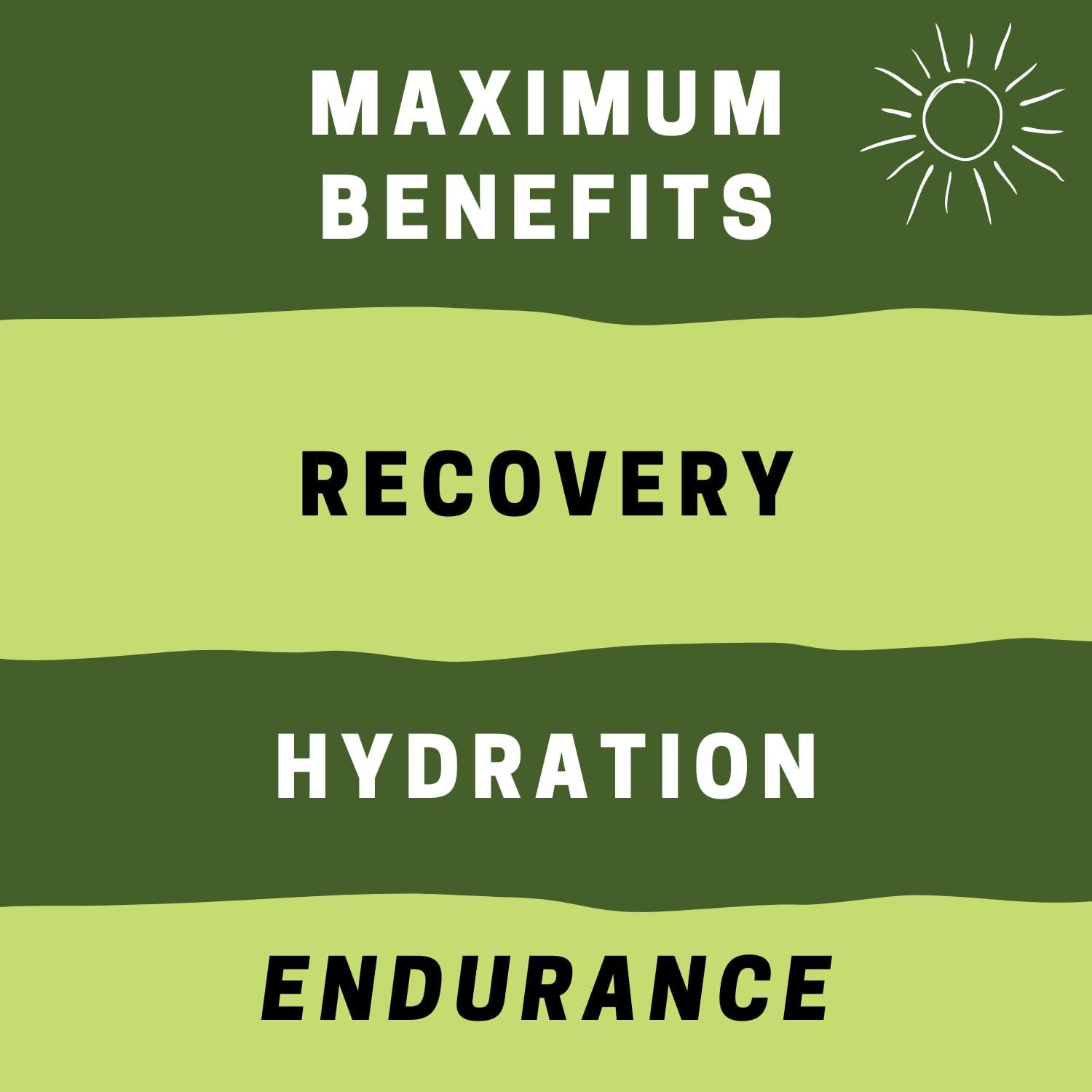 CLEAN MACHINE Clean BCAA - 2:1:1 Food Sourced BCAAs Powder & Coconut Water Electrolytes Recovery & Amino Energy Supplement - Award Winning Vegan Amino Acid Supplement - 30 Servings - Watermelon