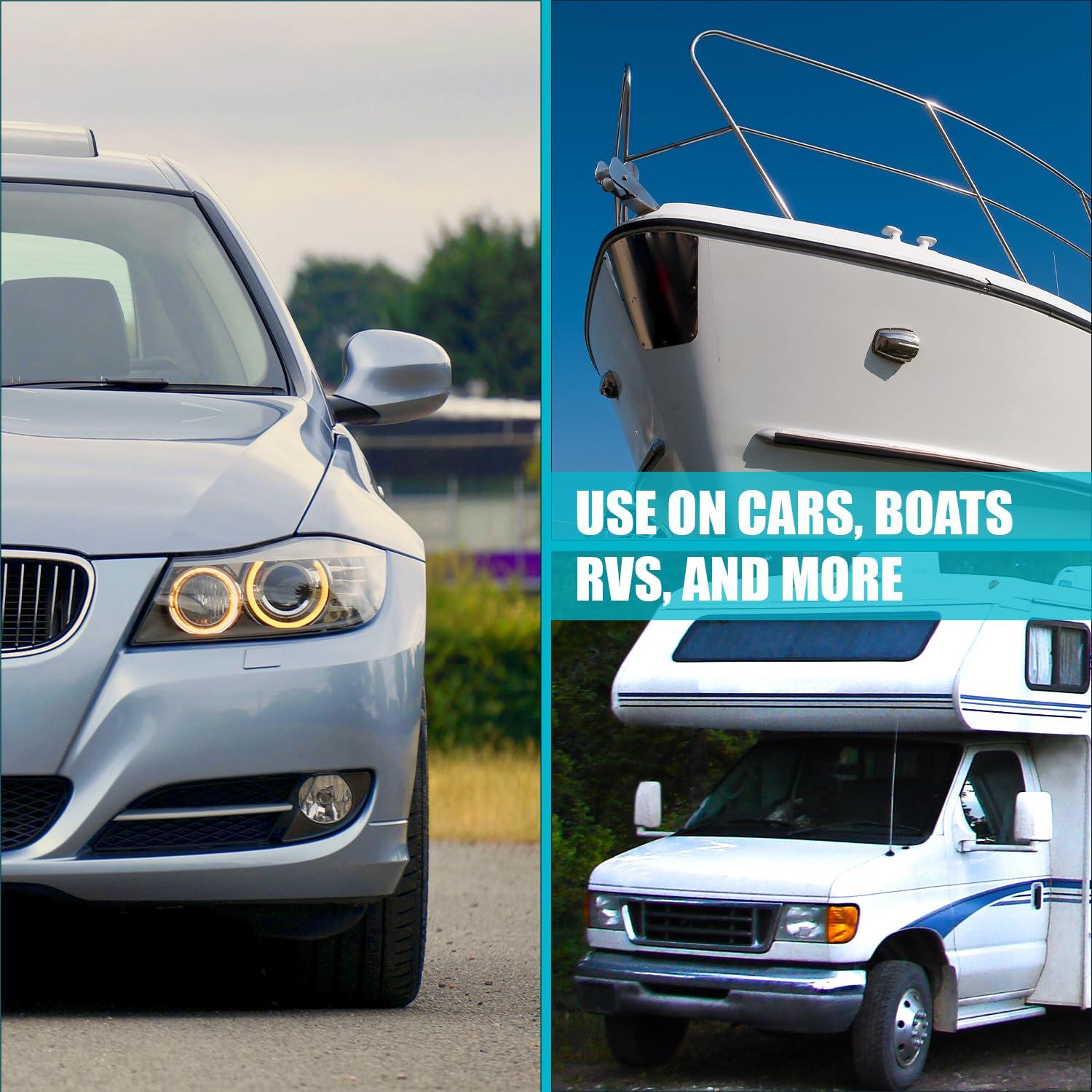 Satya Naturals Giloy Forte Capsules 500 mg. 60 Veg. Capsule | Guduchi (Tinospora Cordifolia) Extract Capsules for Men and women | Indian Ayurvedic Herbal Supplement/Remedies (2 Bottles of 60 Capsules)