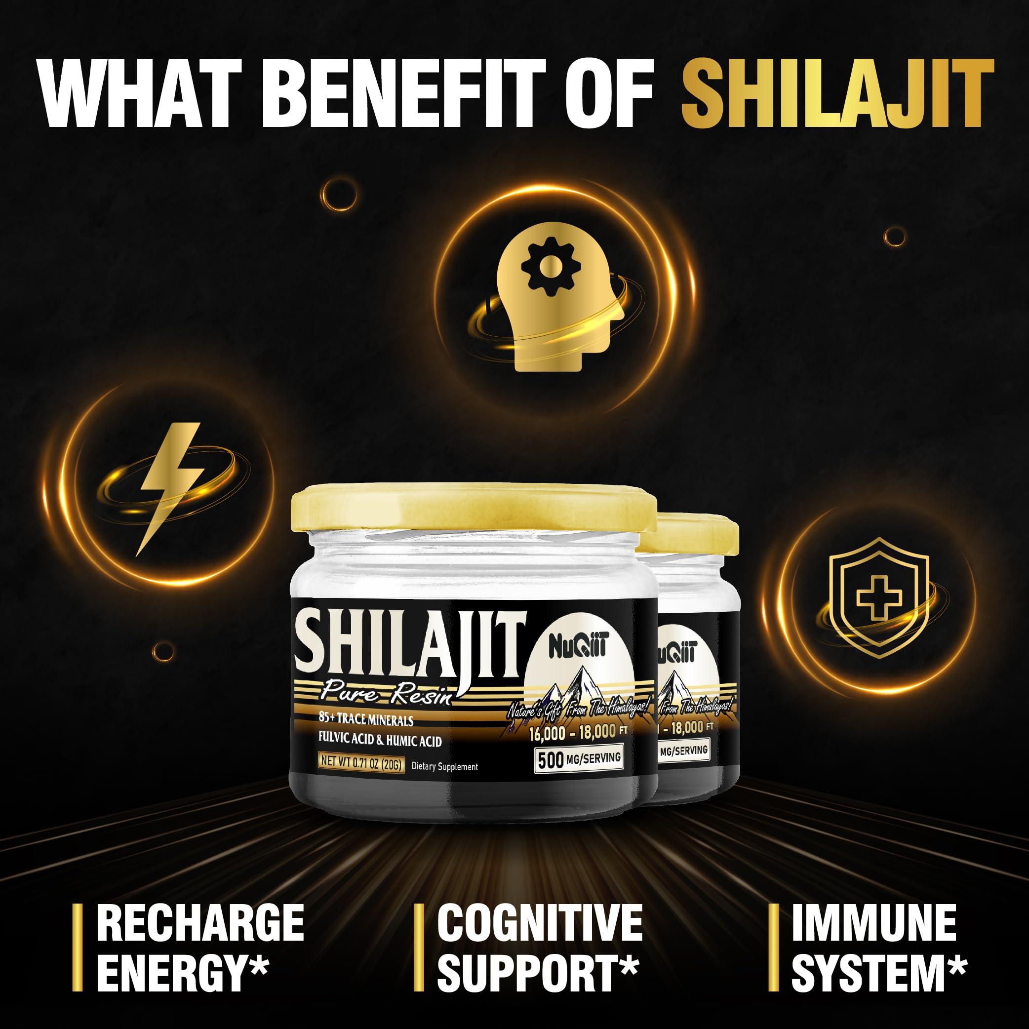 NUQIIT 2 Packs 20g Shilajit Supplement for 80-Serving Supply - Support Immunity, Brain Health & More - 500mg Shilajit Pure Himalayan Organic with Natural Fulvic Acid, Humic Acid & 85+ Trace Minerals