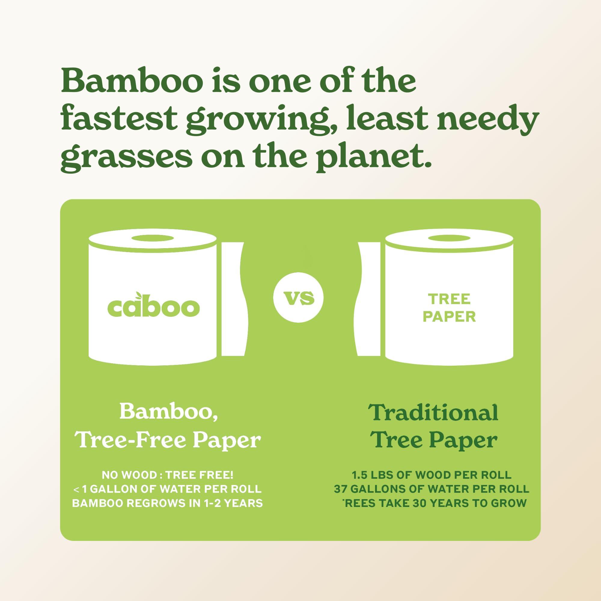 Caboo Caboo Tree Free Bamboo Paper Towels, 8 Rolls, Earth Friendly Sustainable Kitchen Paper Towels with Strong 2 Ply