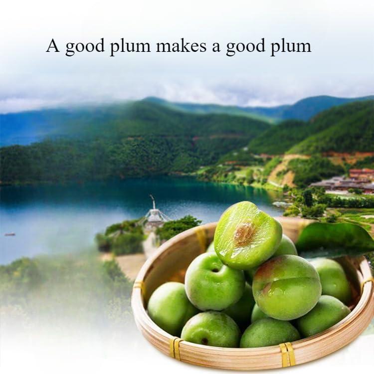 ZAOIAN Sweet and sour prunes210g/canPreserved fruit,Sour and Sweet Nine System Green Plum Dried,prune,Snack Foods,delicious Chinese snacks gifts,Plum Cakes,Instant Fruit snack (3can)
