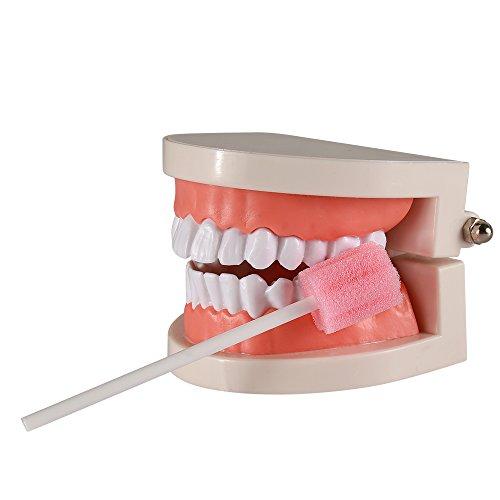 ZIZNBA (50 Pack) Disposable Oral Swabs, Sterile Dental Sponge Unflavored for Mouth & Gum Cleaning