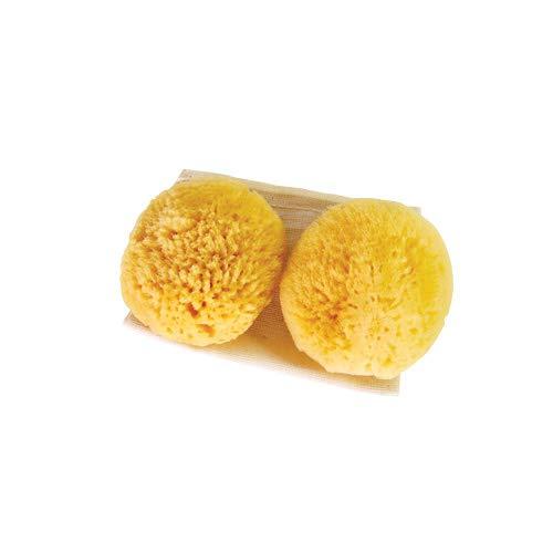 Jade & Pearl Sea Pearls- Classic Reusable Sea Sponges- Medium 2-Pack