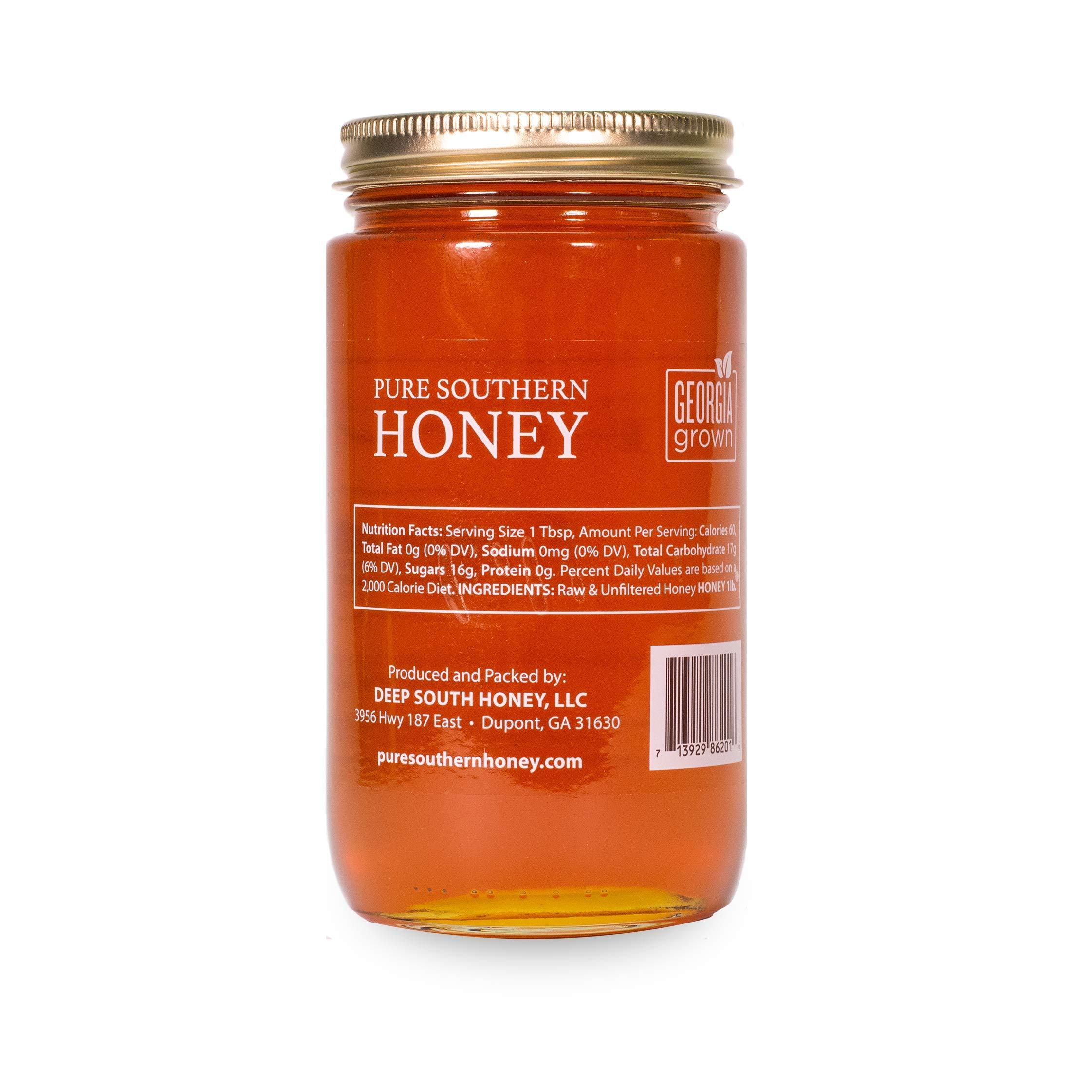 Pure Southern Honey 1 lb. 100% Raw & Unfiltered Gallberry Honey - USA Made by Pure Southern Honey
