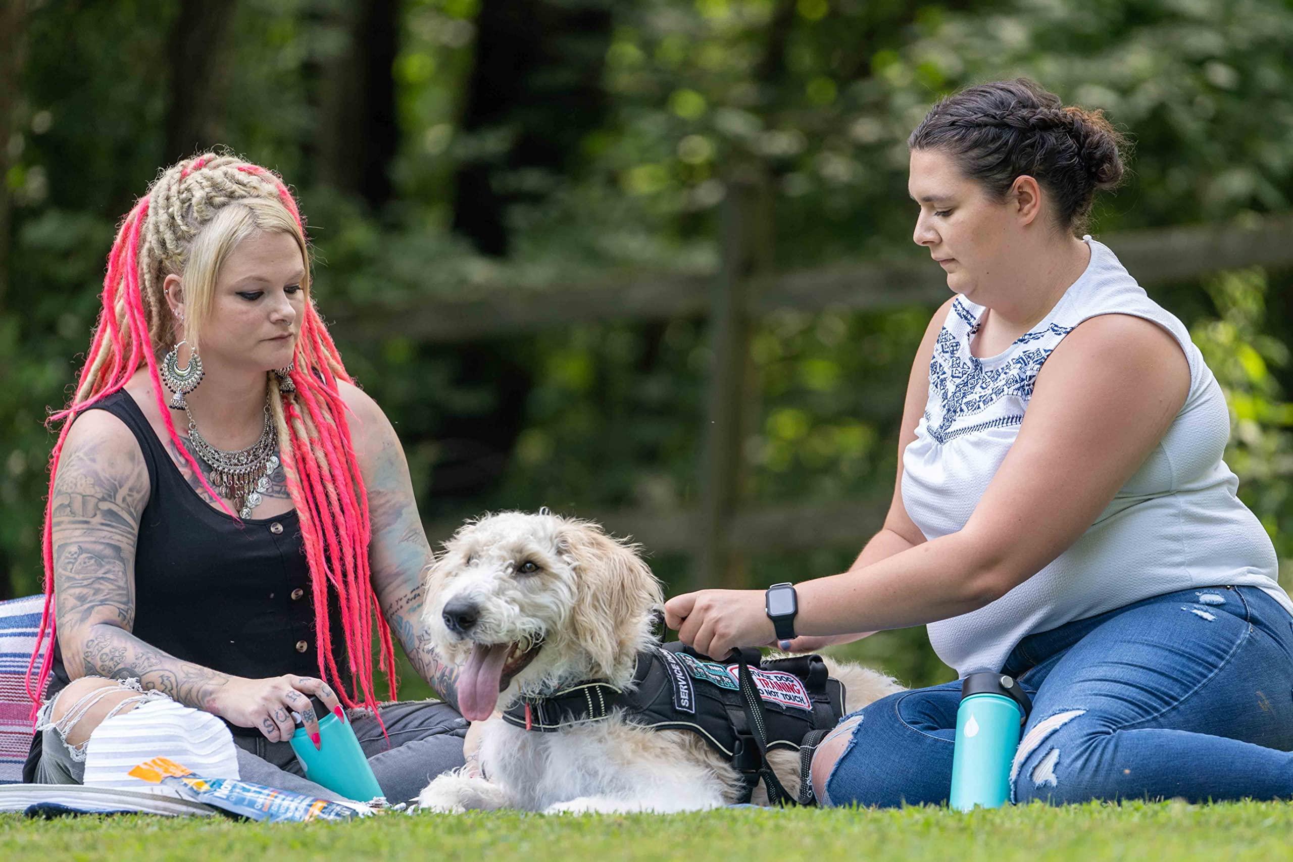 NormaLyte NormaLyte Oral Rehydration Salts- Pack of 6 (Orange) | Electrolytes, Energy Supplements, Electrolytes Packets, Hydration Sachet, Potassium Supplement, Vegan, Dehydration Recovery