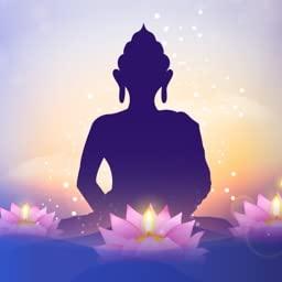 Generic Chinese Medicine Meditation Baoding Balls