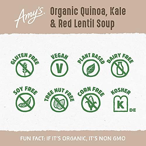 Amy's Amy\'s Soup, Vegan Quinoa, Kale and Red Lentil Soup, Gluten Free, Made With Organic Vegetables and Lentils, Canned Soup, 14.4 Oz