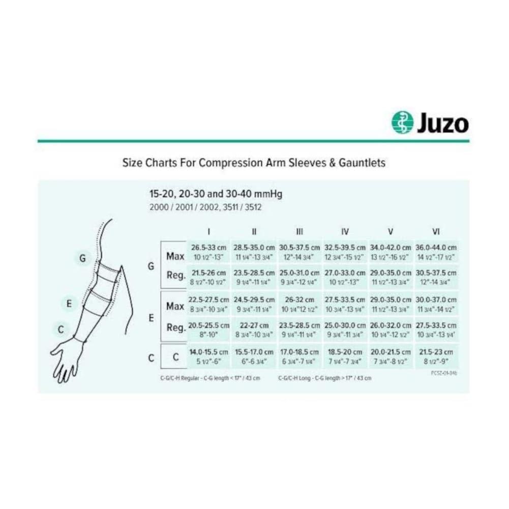 Juzo Juzo Soft 2001 20-30mmhg Max Armsleeve with Silicone Top Band for Women,Black,1 (I) MAX Regular