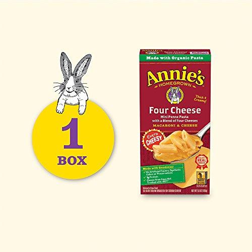 Annie's Homegrown Annies Four Cheese Penne Macaroni and Cheese Dinner with Organic Pasta, 5.5 OZ