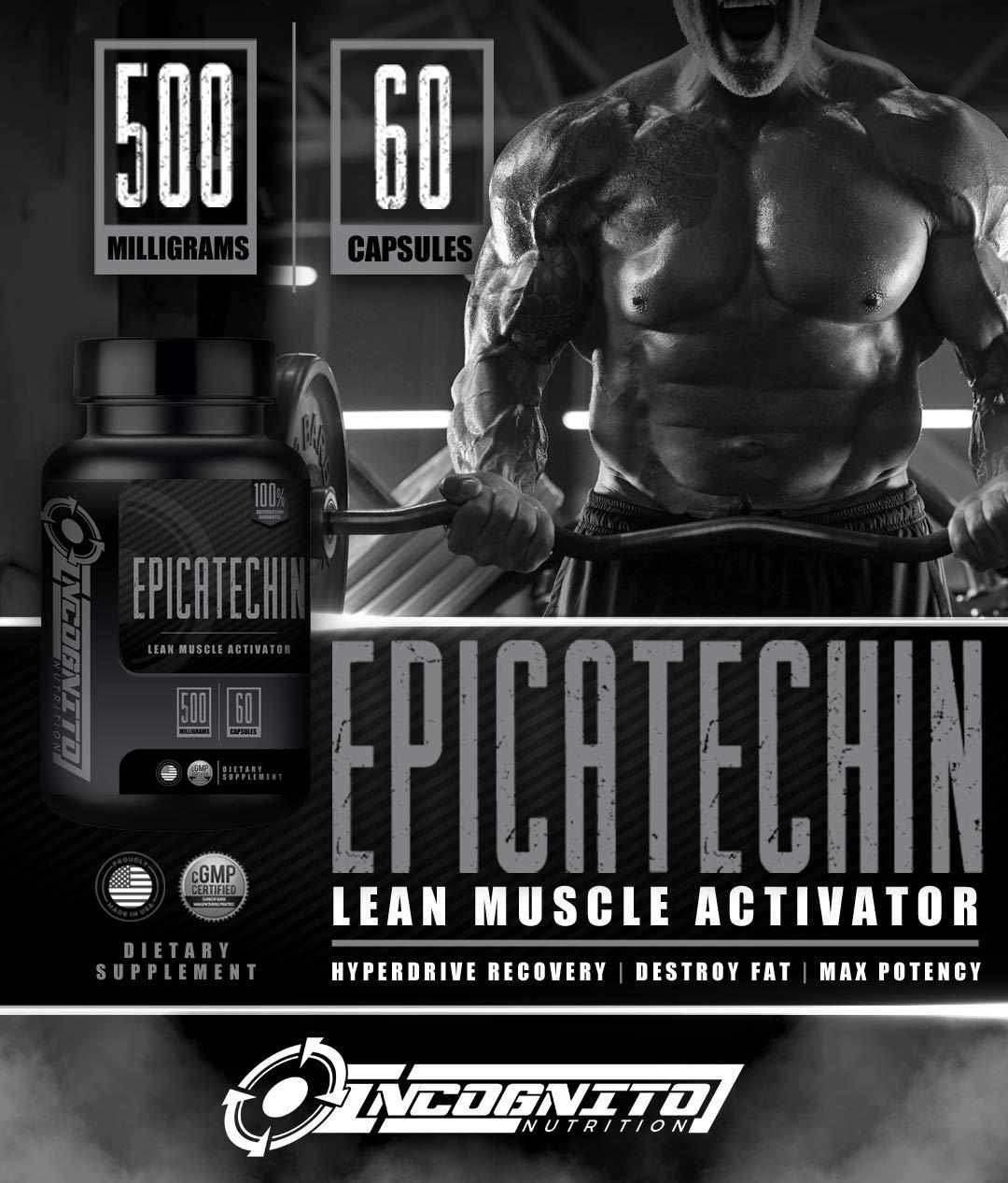INCOGNITO NUTRITION INCOGNITO NUTRITION EPICATECHIN | Extra Strength | 500 MGS Per Serving x 60 Servings | Helps Promote Lean Muscle and Strength | Increase Protein Synthesis | May Reduce Myostatin (1)