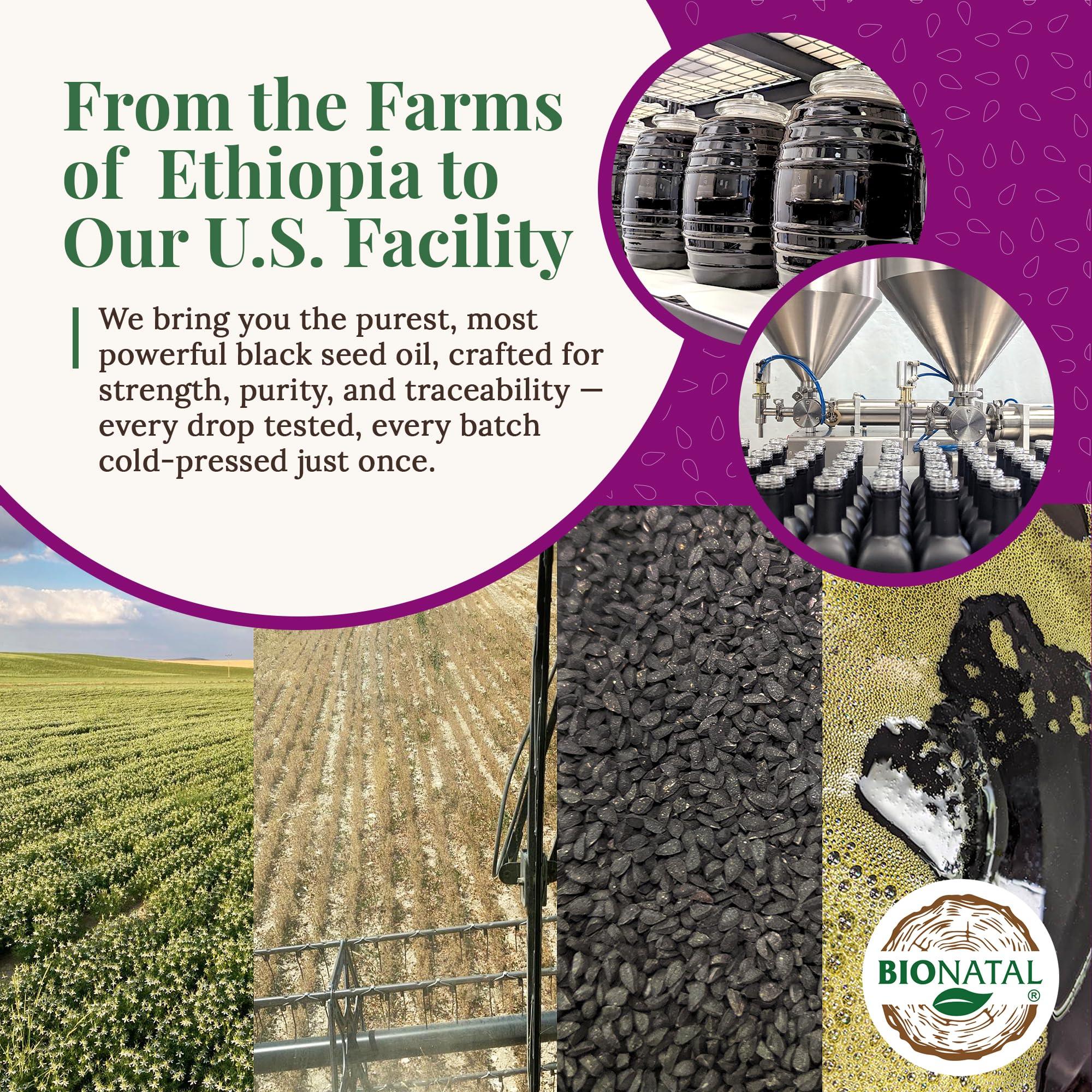 BioNatal Bionatal's Ethiopian Black Seed Oil 16oz (GLASS), Cold-Pressed, Non-Filtered, Nigella Sativa Seeds