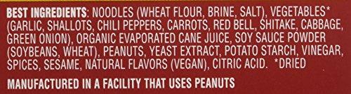 Dr. McDougall's Dr. McDougall's Spicy Kung Pao Asian Noodles, 2 oz