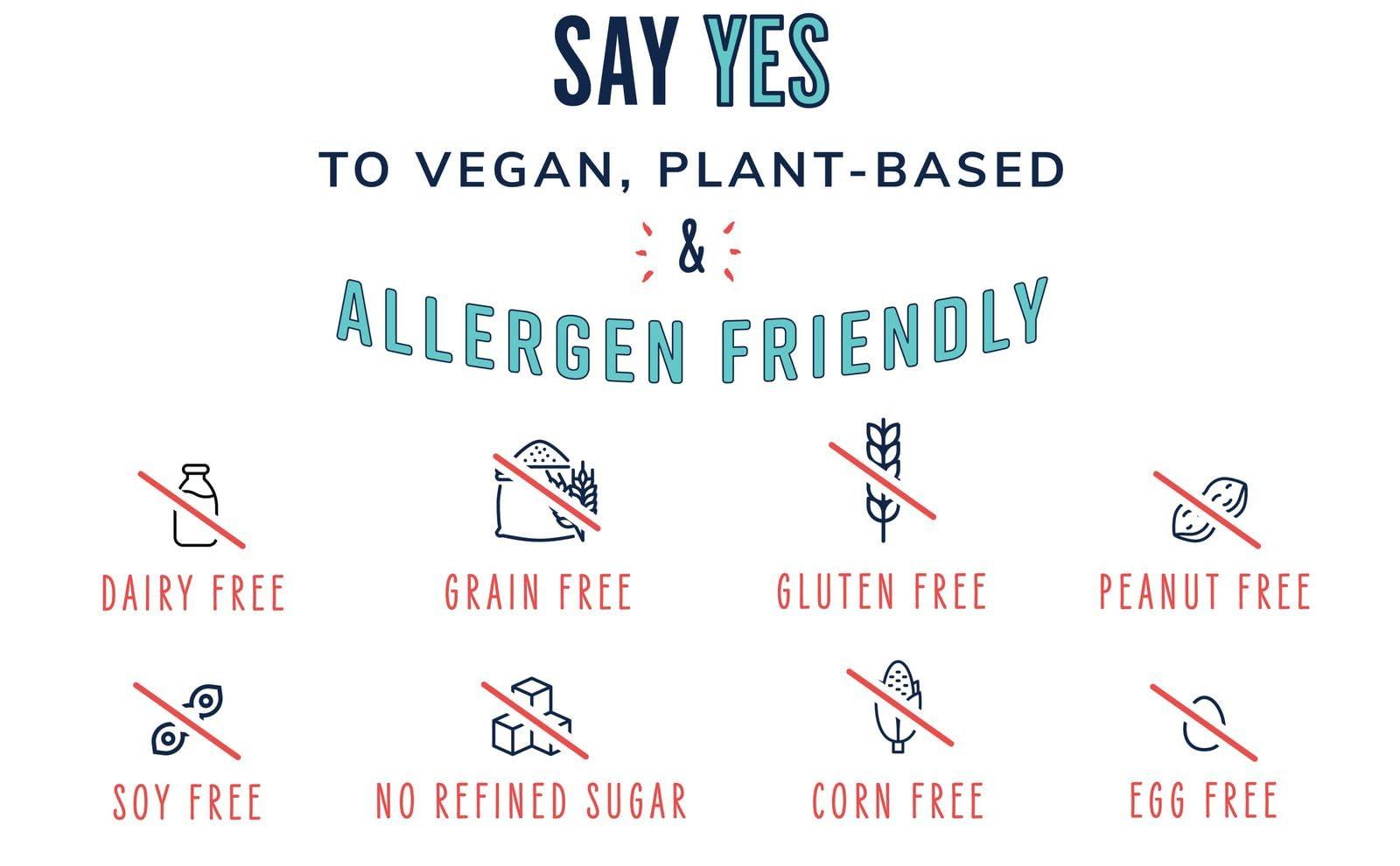 The YES Bar The YES Bar Dark Chocolate Chip Plant Based Protein, Decadent Snack Bar Vegan, Paleo, Gluten Free, Dairy Free, Low Sugar, Healthy Snack, Breakfast, Low Carb, Keto Friendly (24 Count)