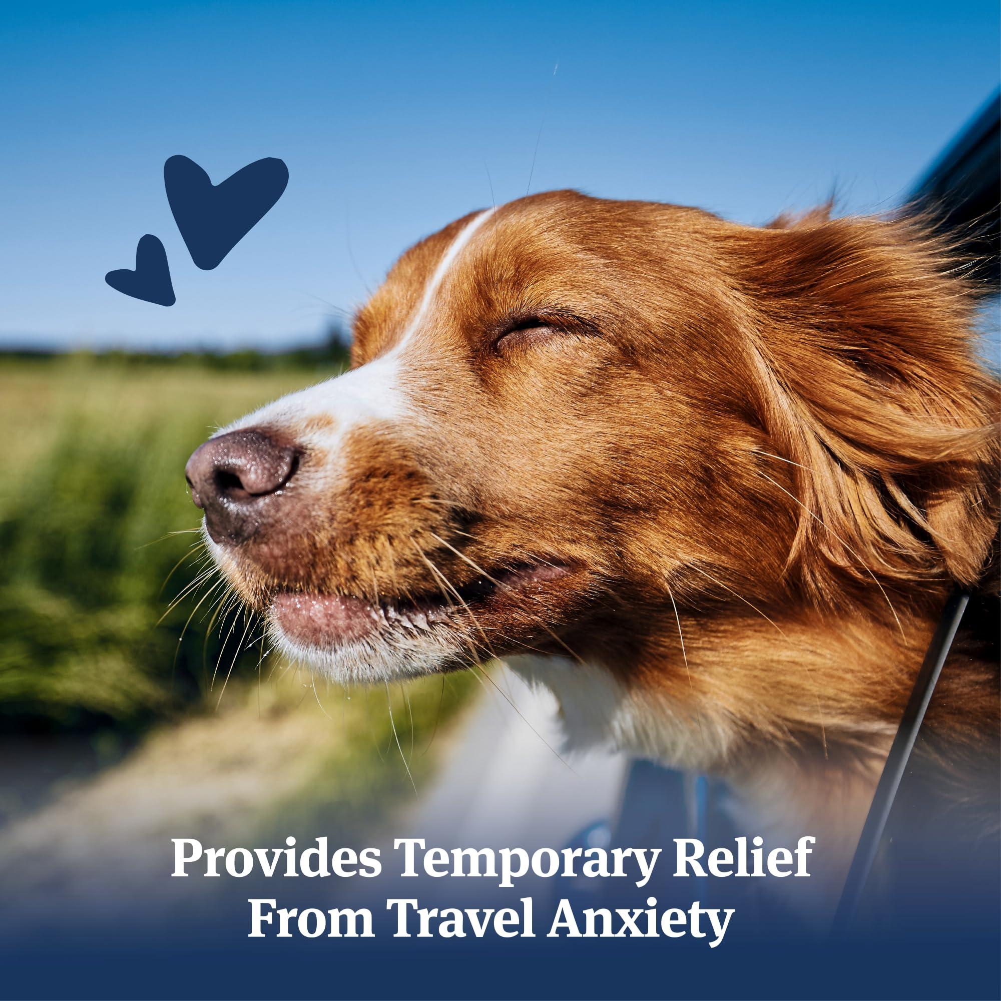 PetArmor PetArmor Antihistamine Allergy Relief for Dogs, Easy-to-Use Allergy Medicine for Dogs, Anti-Itch Medicine Provides Relief from Insect Bites, and Stings, 100 Tablets