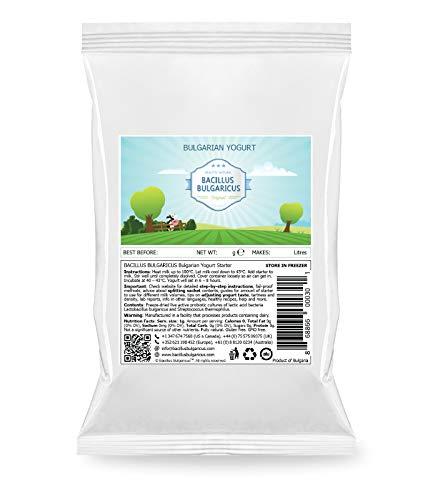 Bacillus Bulgaricus Bulgarian Yogurt Starter (Makes 14 Gal / 50 L)