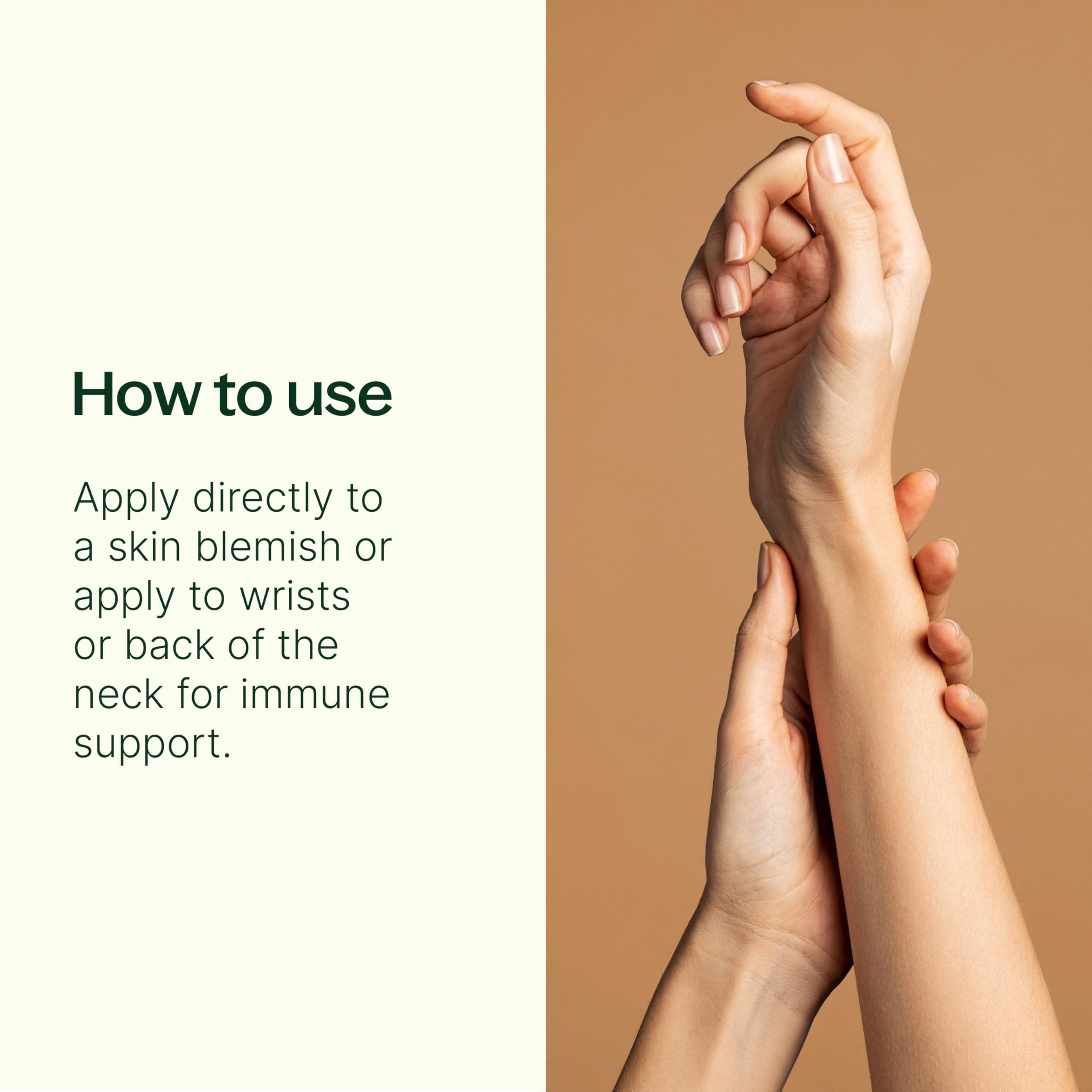 Plant Therapy Plant Therapy Tea Tree Essential Oil 100% Pure, Pre-Diluted Roll-On, Natural Aromatherapy, Therapeutic Grade 10 mL (1/3 oz)