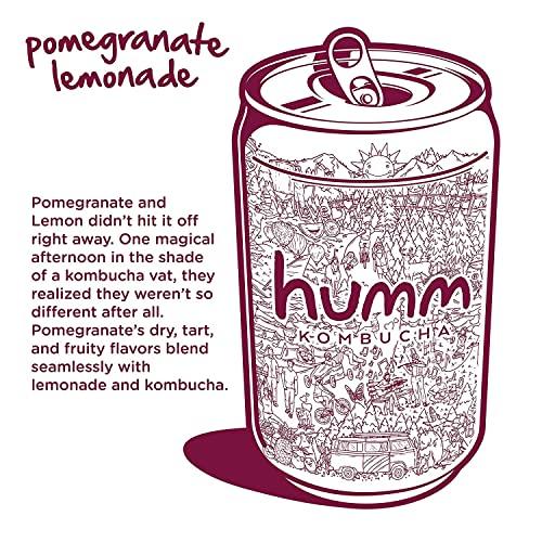 Humm Humm Kombucha Pomegranate Lemonade - Organic, Vegan & GMO-Free (12 Pack)