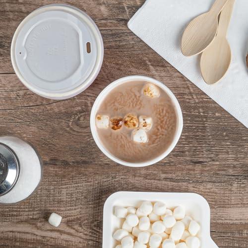 PLASTICPRO Plasticpro Disposable Plastic Cake Cutter Durable Heavy Duty Premium Serving Utensils Clear Pack of 12