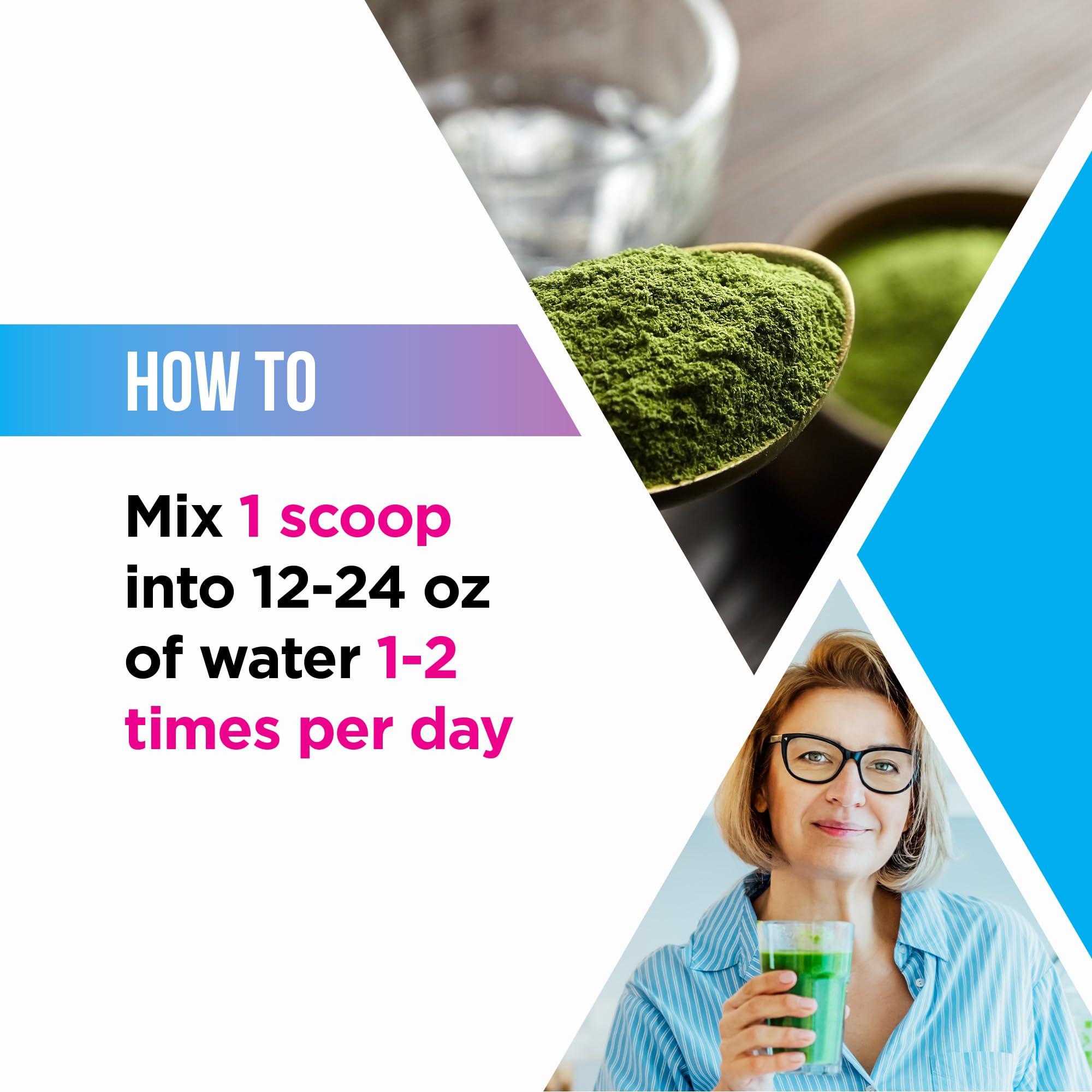 Livingood Daily Livingood Daily Greens Superfood Powder (Unflavored) - Super Greens Powder for Gut Health - Green Juice Powder Supplement with Spirulina, Chlorella, Enzymes, & Probiotics for Liver & Digestive Support
