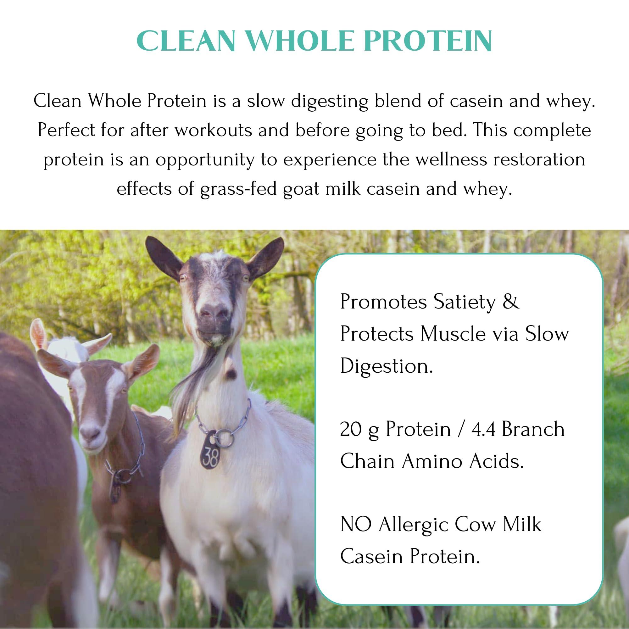 MT. CAPRA SINCE 1928 MT. CAPRA SINCE 1928 Clean Whole Protein | Grass-Fed Goat Protein with Whey and Casein Protein, No Bloat, Build and Maintain Muscle, 20 g Protein per Serving, No Sweeteners - 400 Grams