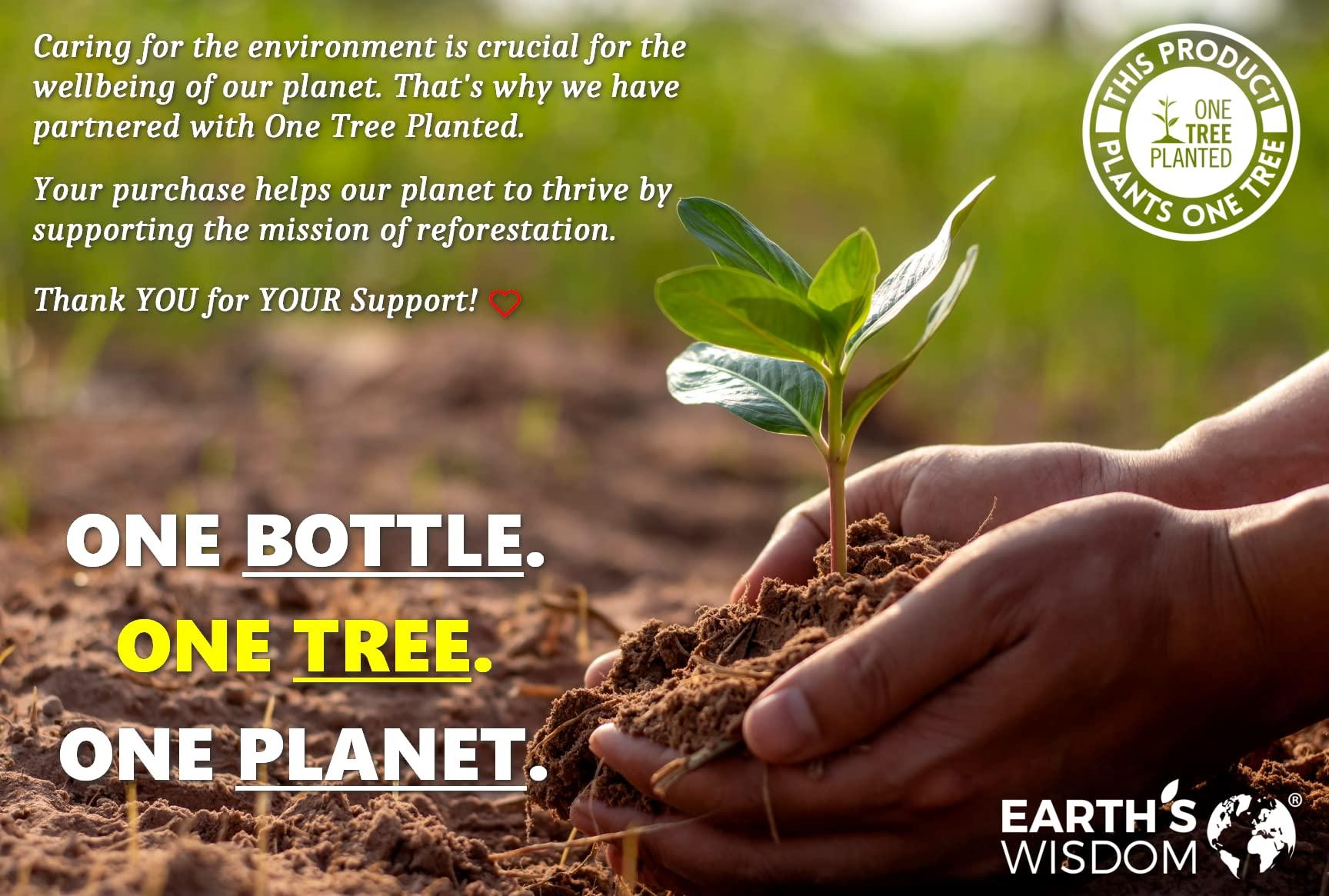 Earth's Wisdom Vitamin D3 5000 IU Vitamin C 1000mg Zinc 50mg - Immune Support Supplement Adults with Elderberry Echinacea Garlic Lysine Turmeric Ginger Propolis Pepper Gluten Free 60 Non-GMO Capsules