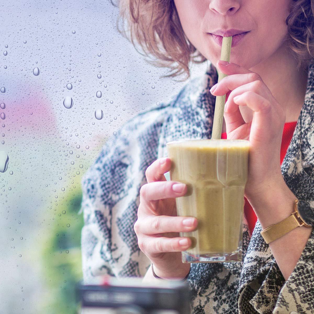 SORBOS Sorbos Edible Straws, Lime Flavored, Sustainable, Individually Packaged, No Plastic, No Allergens, No Gluten, No PFAS, 100 Percent Biodegradable, 9.4 inches long (Pack of 200)