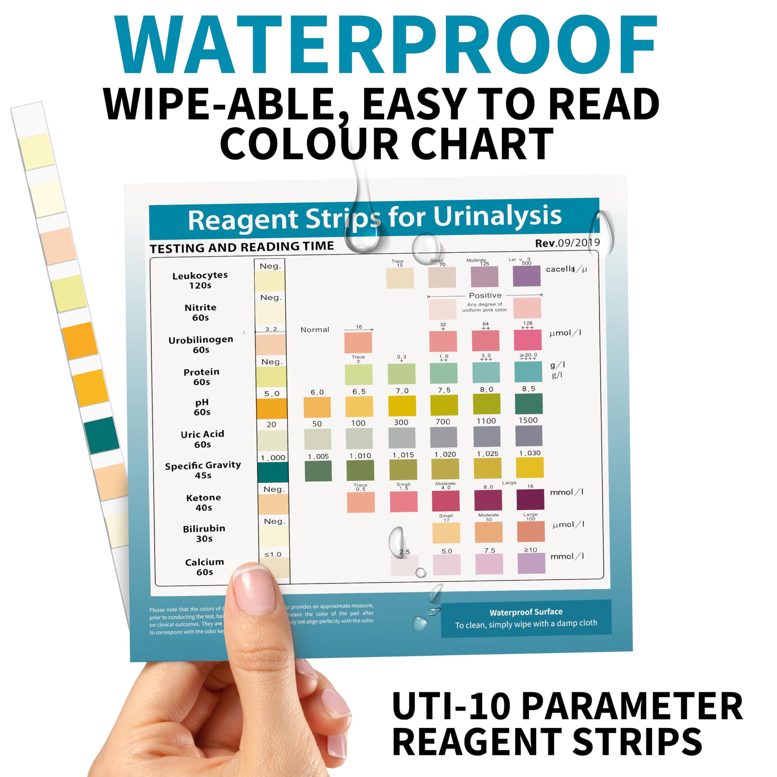 Palinoia URS 10-in-1 Urine Test Strips 10 Parameters Testing UTI, Urinalysis for Ketosis, pH, Protein, Kidney and Liver Function, 100 CT