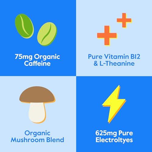 Nectar Nectar Energy Booster - Organic Caffeine, B12 & Electrolytes - Sugar Free & Zero Calorie – Healthy Coffee, Energy Drink & Soda Alternative – Hydration & Energy Supplement (Variety 18 Powder Packets)