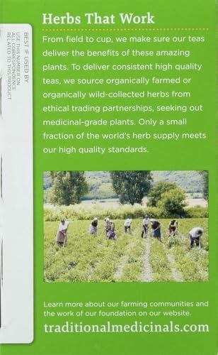 Traditional Medicinals Traditional Medicinals Organic Green Tea Peppermint Tea, 16 Tea Bags