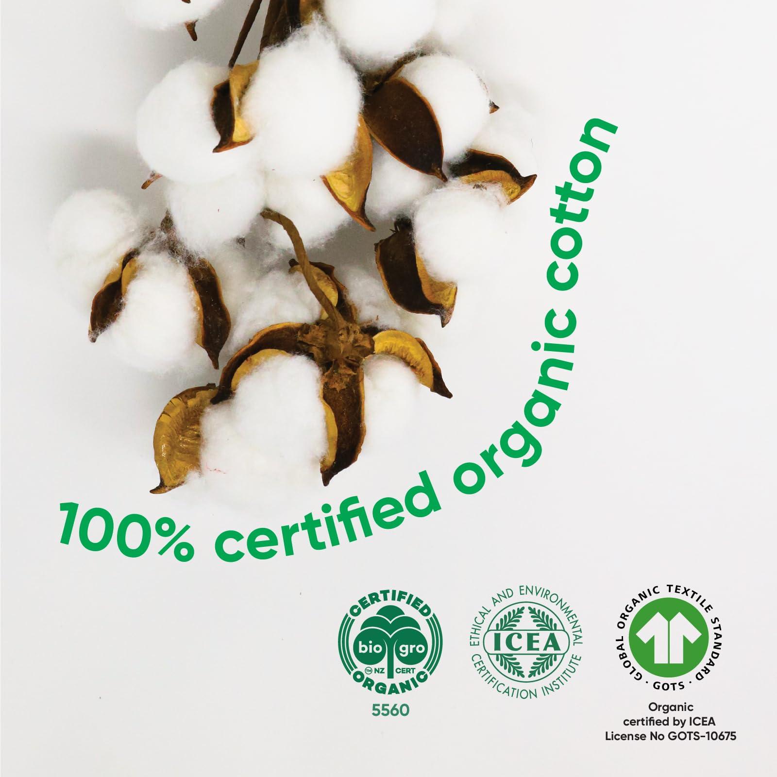 oi Oi | Organic Initiative - 100% Certified Organic Cotton Non-Applicator Tampons | Ultra-Absorbent, Unscented, Natural, Non-Toxic, Applicator Free | Regular | 64 Count