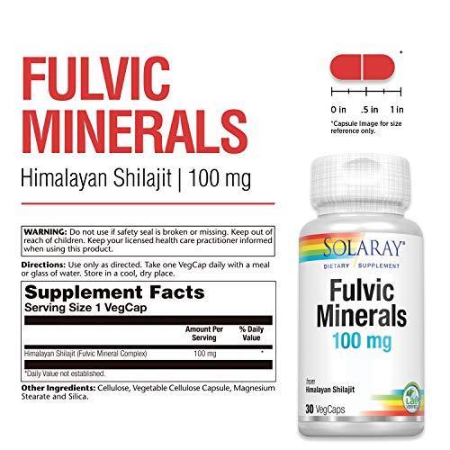 SOLARAY Solaray Fulvic Minerals 100 mg | Himalayan Shilajit | Healthy Digestion, Skin & Brain Support | 30 VegCaps