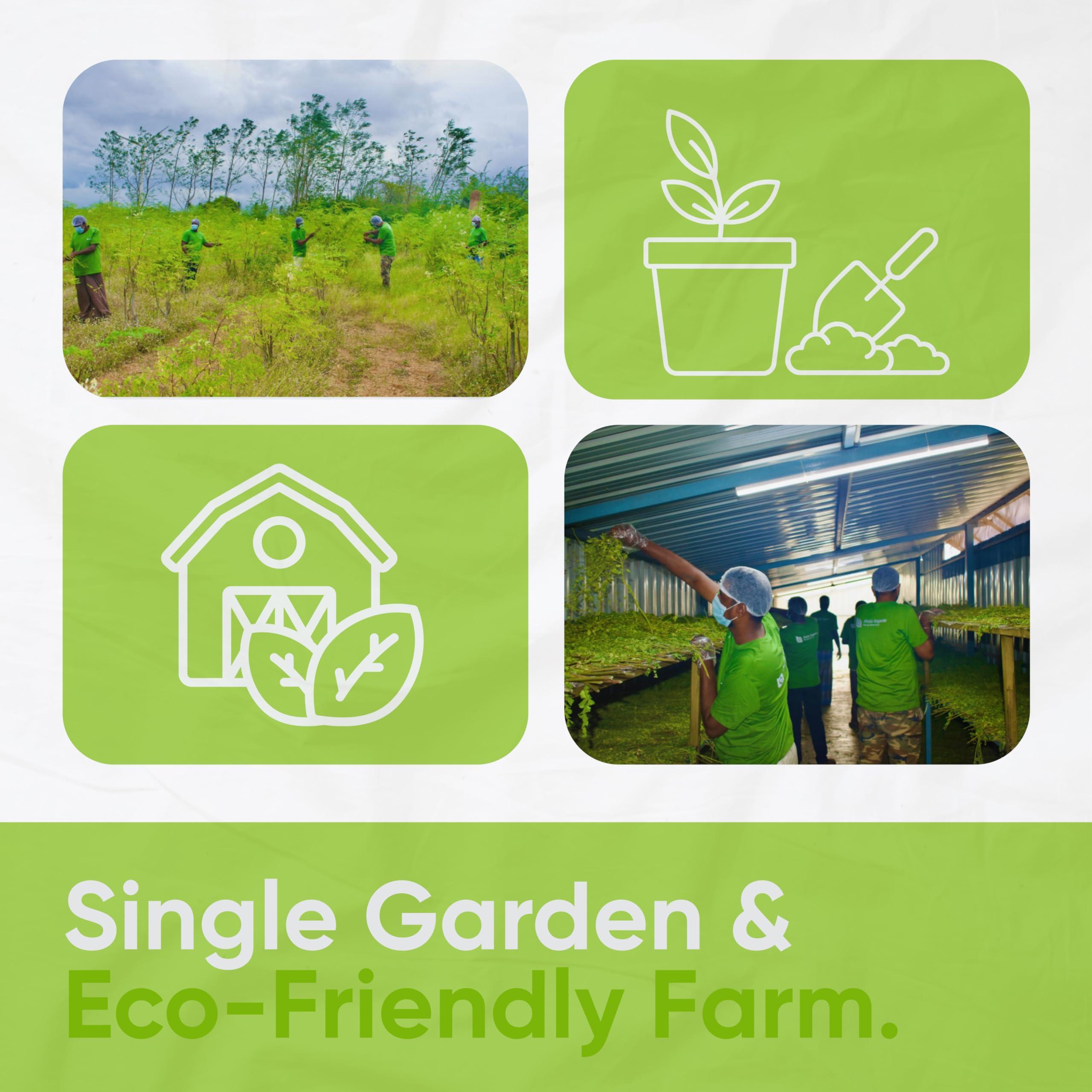 ALADA ORGANIC ALADA ORGANIC Moringa - Moringa Powder Single Garden Premium 100% Leaf Powder India Organic Certified, Moringa Oleifera - Smoothies, Drinks, Tea & Recipes -7.05 OZ