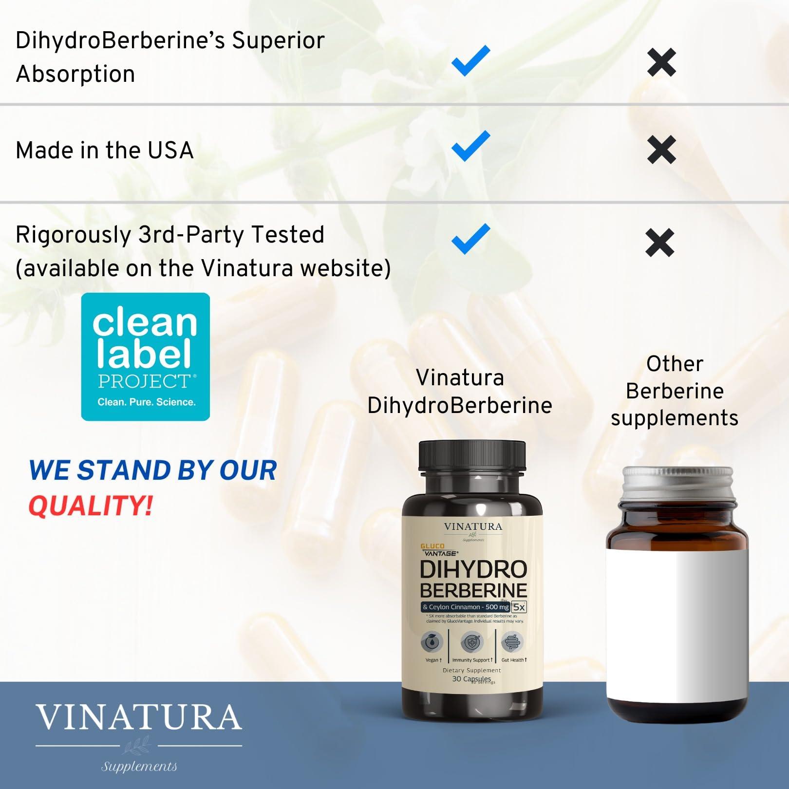 VINATURA VINATURA Dihydroberberine Supplement 500mg with Ceylon Cinnamon - (Patented GlucoVantage Super Berberine), Maybe Berberine 5X More absorbable - 30 Capsules